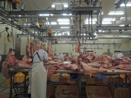 47ad157a2273c236a838e05479a4456e_1641738164_9968.jpg 47ad157a2273c236a838e05479a4456e_1641738164_9968.jpg