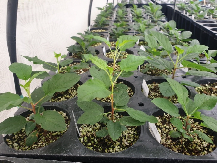 a919a82c977ca32c4ecbf7228dcf7f0d_1704851922_2443.jpg a919a82c977ca32c4ecbf7228dcf7f0d_1704851922_2443.jpg