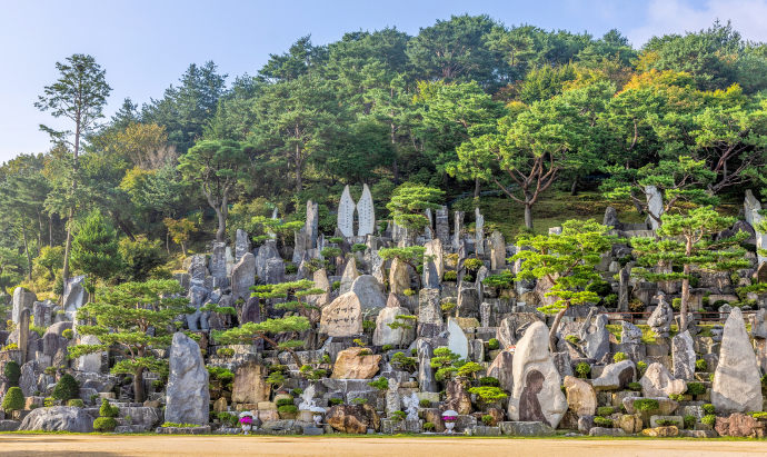 e7917ee67b0c9721e571d410275f572c_1719396378_8948.png e7917ee67b0c9721e571d410275f572c_1719396378_8948.png