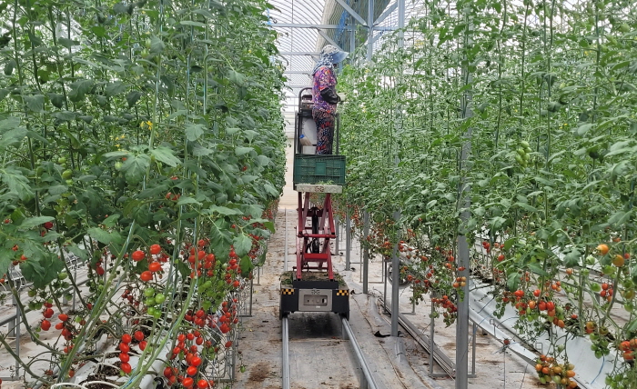 c4eb5e1d74c523c7f0b5f689643838c6_1730361139_1263.jpg c4eb5e1d74c523c7f0b5f689643838c6_1730361139_1263.jpg