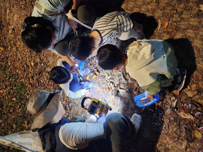 347de2761e16c2582affdf6e380277b8_1731310589_7979.jpg 347de2761e16c2582affdf6e380277b8_1731310589_7979.jpg