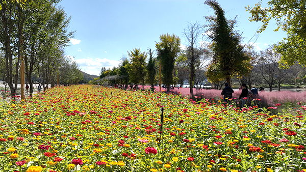 807b7a228d3333f9f8df533699fb4e07_1757404450_0877.JPG