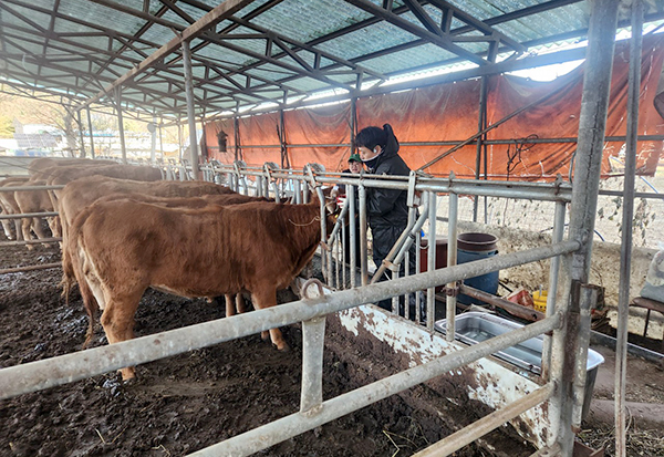 7cdfe0e9d19f6c73bf826dd190d827d0_1763608435_985.jpg 7cdfe0e9d19f6c73bf826dd190d827d0_1763608435_985.jpg