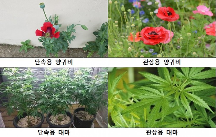 dd89f8e6497a9cdc8b2eeda420af626a_1587942013_8451.jpg