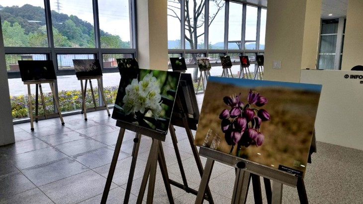 23a9e5484a1e917a6dd2ee2ca34f1051_1747016423_9027.jpg